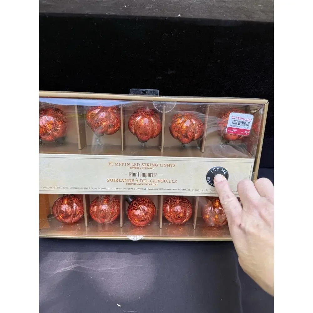 Pier 1 Imports Pumpkin LED Mercury Glass 10 String Lights New In Box! -46D